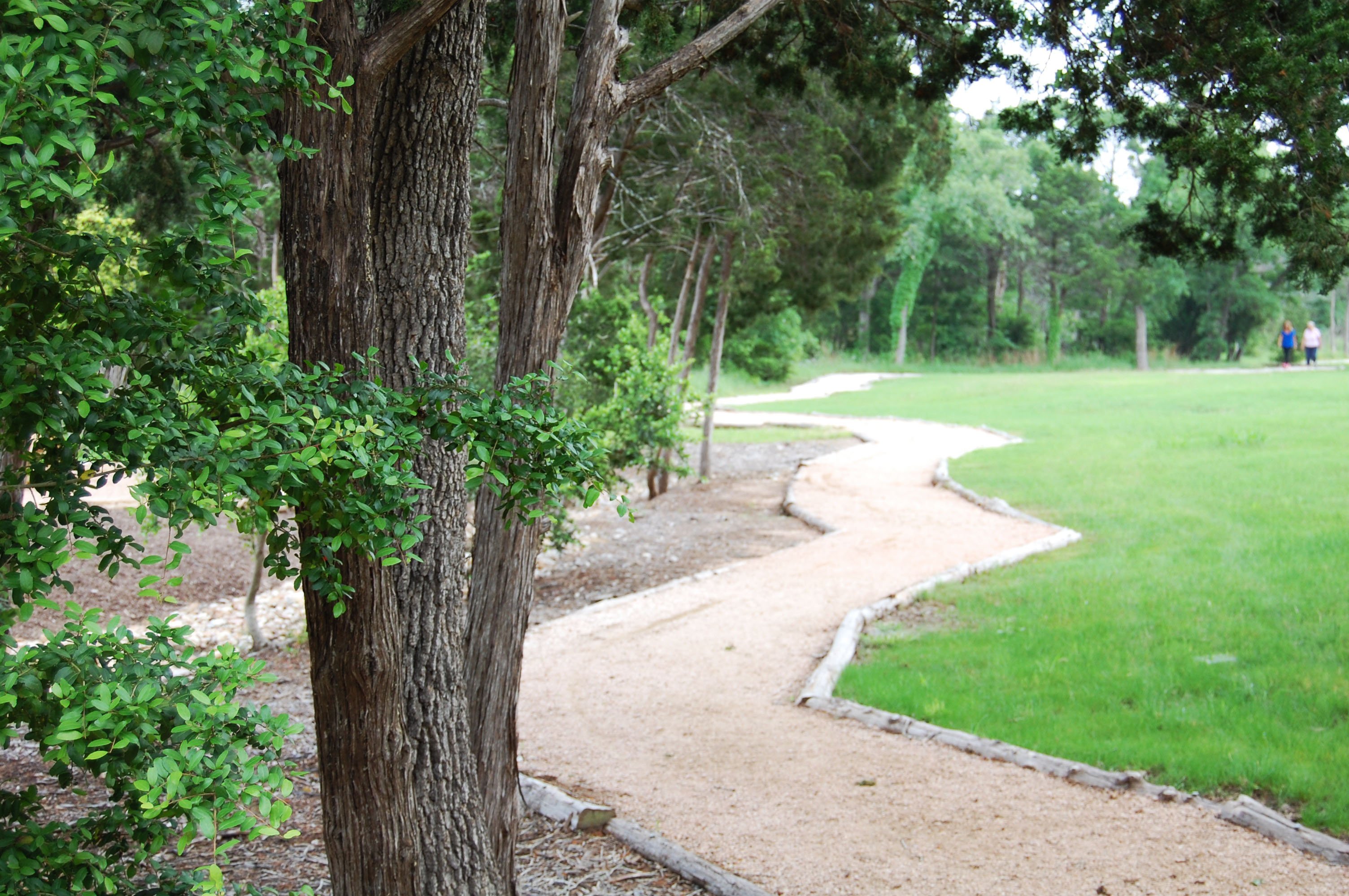 A winding garden path at our spiritual retreat center in Austin, Texas.